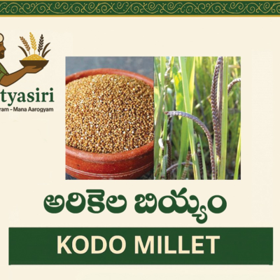 Kodo Millet (Arikelu)